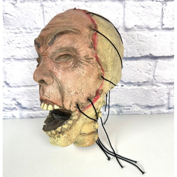 Scary Severed Skull Head Face Transplant Scary Halloween Prop Decoration 13" Gor - Picture 1 of 12